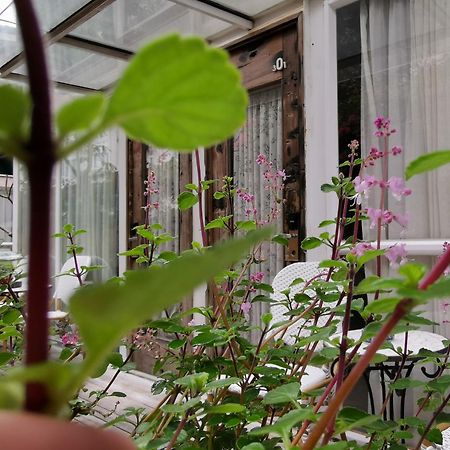 Shenzhen No'6 Garden Villa --French Window With Garden View,Close To Sea World &Shekou Ferry Port &K11 Ecoast &Subway Nearby ,Offer Western Food And Coffee &English Speaking With Tour Services Exteriör bild