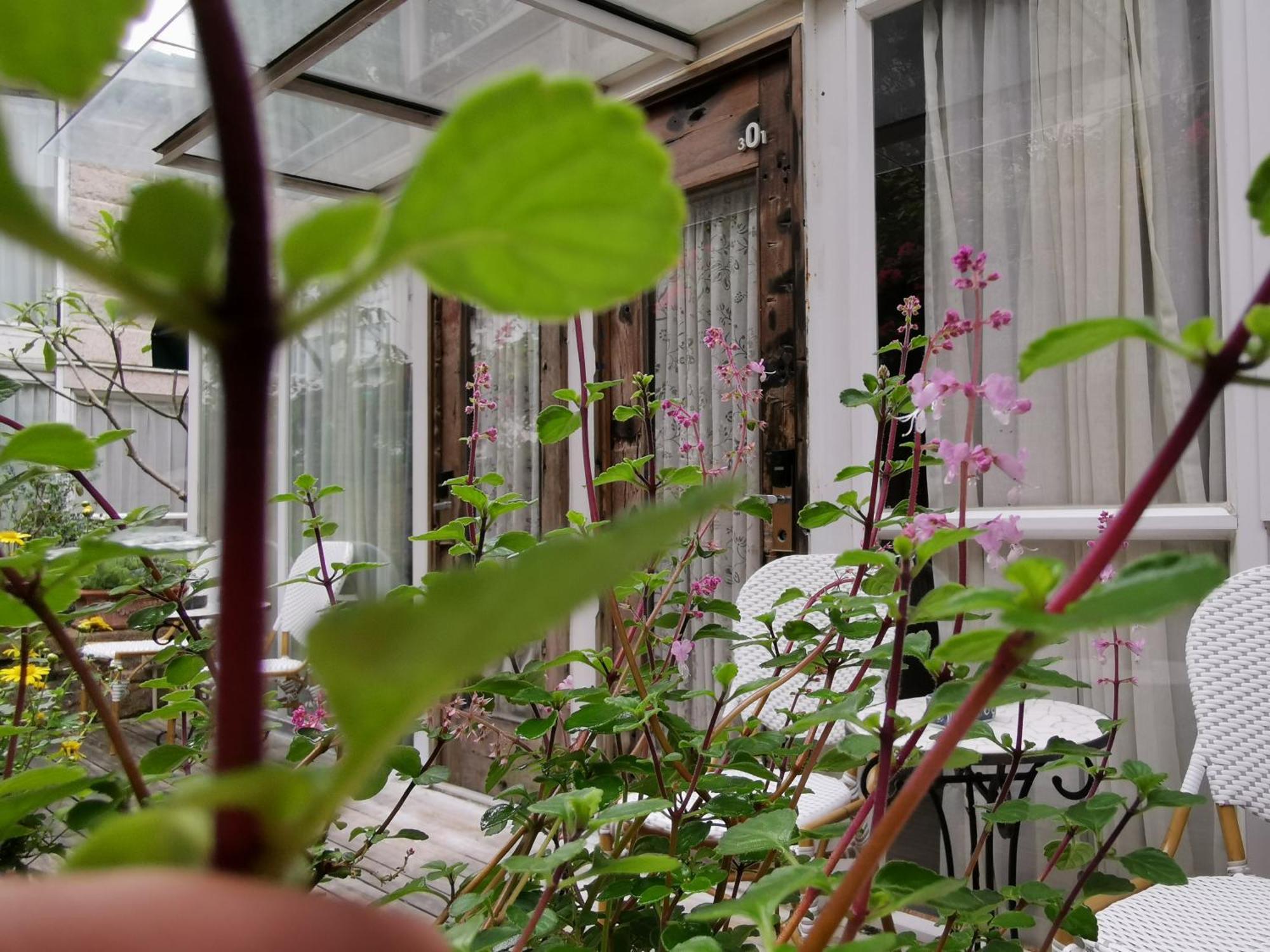 Shenzhen No'6 Garden Villa --French Window With Garden View,Close To Sea World &Shekou Ferry Port &K11 Ecoast &Subway Nearby ,Offer Western Food And Coffee &English Speaking With Tour Services Exteriör bild